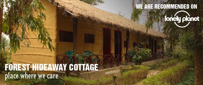 cottage in bardia