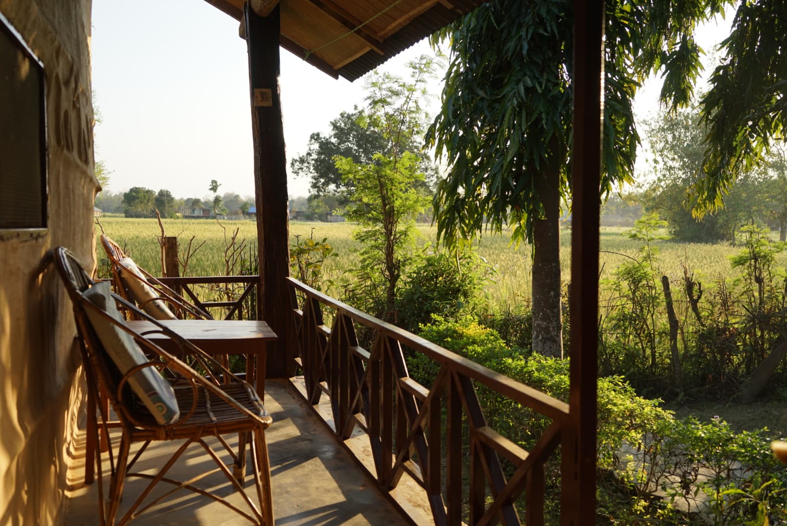 Luxury forest eco-lodge at Forest Hideaway Resort