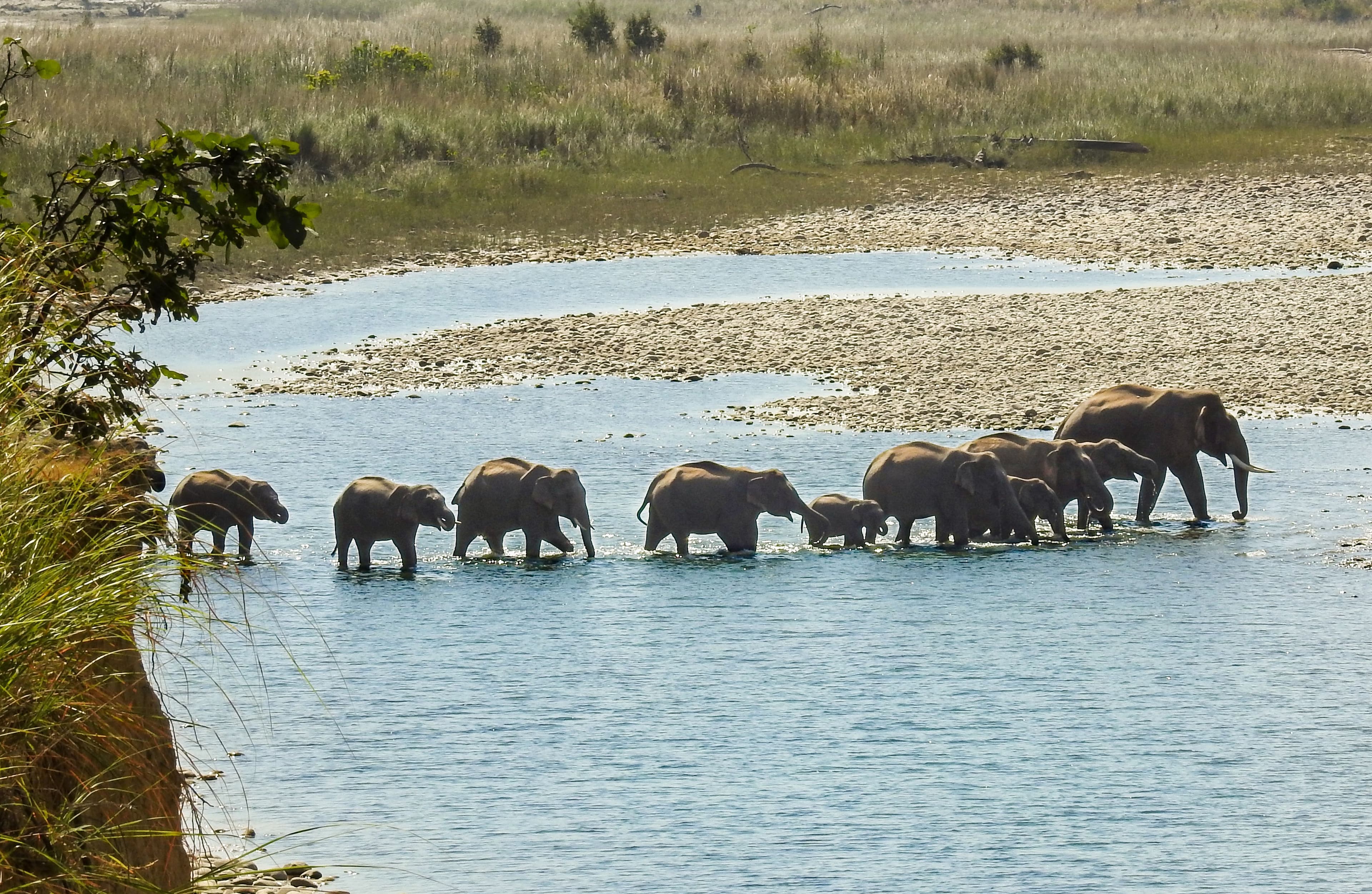 Complete Wilderness Retreat package